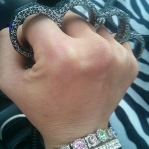 Meet your Posher, Sirii